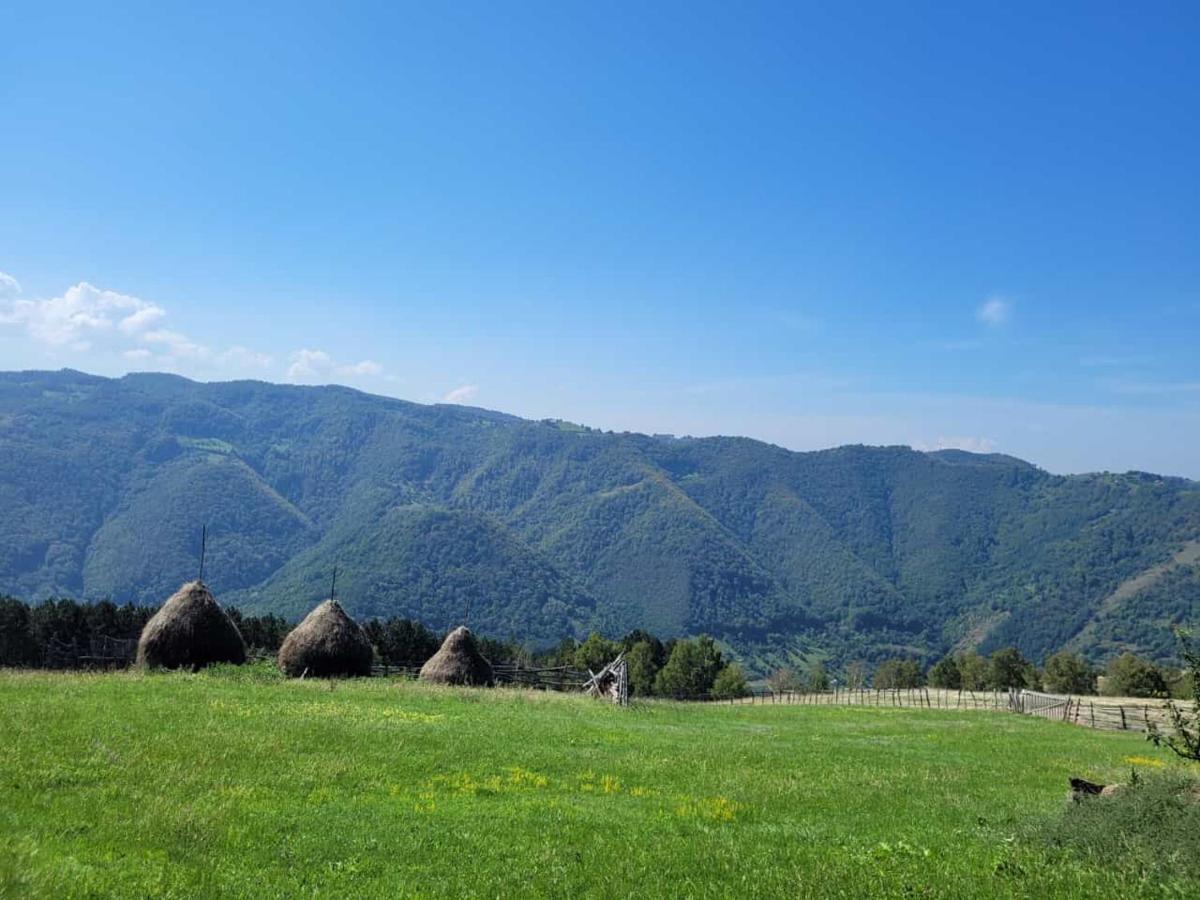 فندق Mateo Transalpina Săsciori المظهر الخارجي الصورة